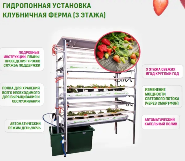 Гидропонная установка Клубничная ферма (3 этажа)